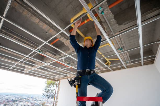 Best Local Plumber Services  in Elizabethton, TN
